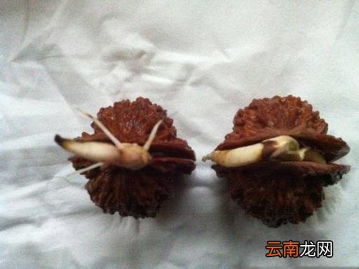 别看见什么都说好,让您看看什么叫牛掰!