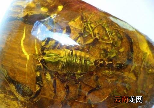 别看见什么都说好,让您看看什么叫牛掰!