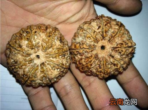 别看见什么都说好,让您看看什么叫牛掰!