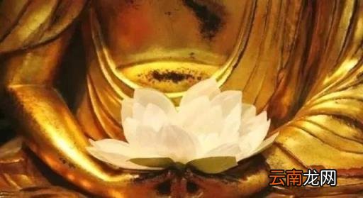 学佛法的第一本经,学《地藏经》是最好,为什么?