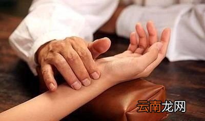 桂圆具有补气养血的好处对于气虚者可以多吃