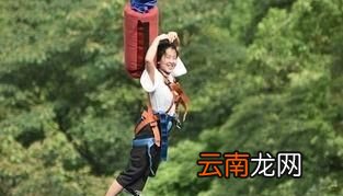 桂圆具有补气养血的好处对于气虚者可以多吃