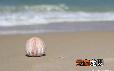 气血不足怎样调养