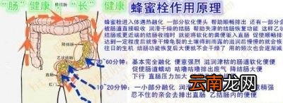 通便的“天然泻药”有哪些