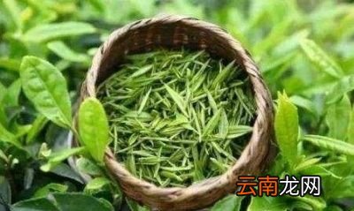 到底哪些食物是“天然泻药”呢