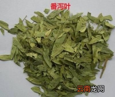 有哪些天然的食物是吴医生推荐便秘者食用的呢