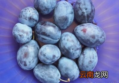 润肠通便的食物有哪些