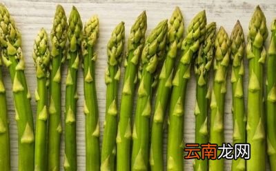 润肠通便的食物有哪些