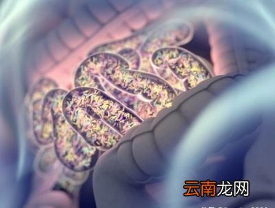 润肠通便的食物有哪些