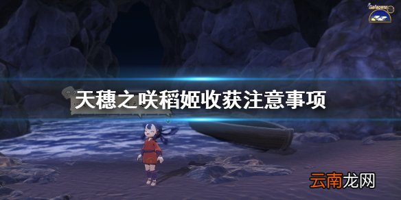 天穗之咲稻姬收获要注意什么 天穗之咲稻姬收获注意事项