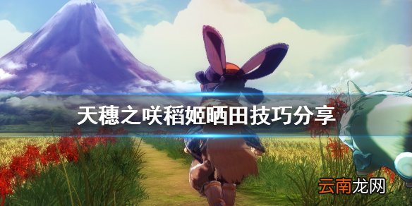 天穗之咲稻姬晒田怎么晒 天穗之咲稻姬晒田技巧分享
