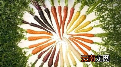 胡萝卜素对人体的功效