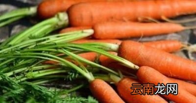胡萝卜素对人的作用有什么