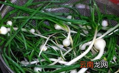野生大蒜的药用功效