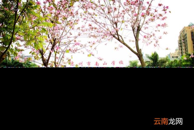 2022惠州初中部学区划分一览表 惠州最好的初中学区房排行榜