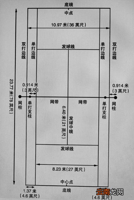 网球的基本规则 网球规则怎么打