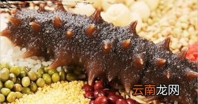 禁忌人群慎食海参