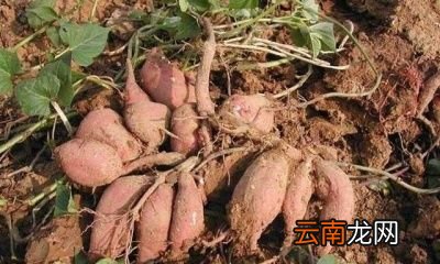 该如何解决这个问题呢
