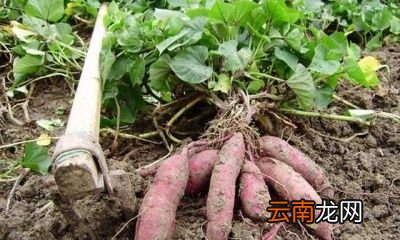 该如何解决这个问题呢