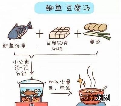 可以帮助下奶的食物有哪些