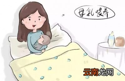 可以帮助下奶的食物有哪些