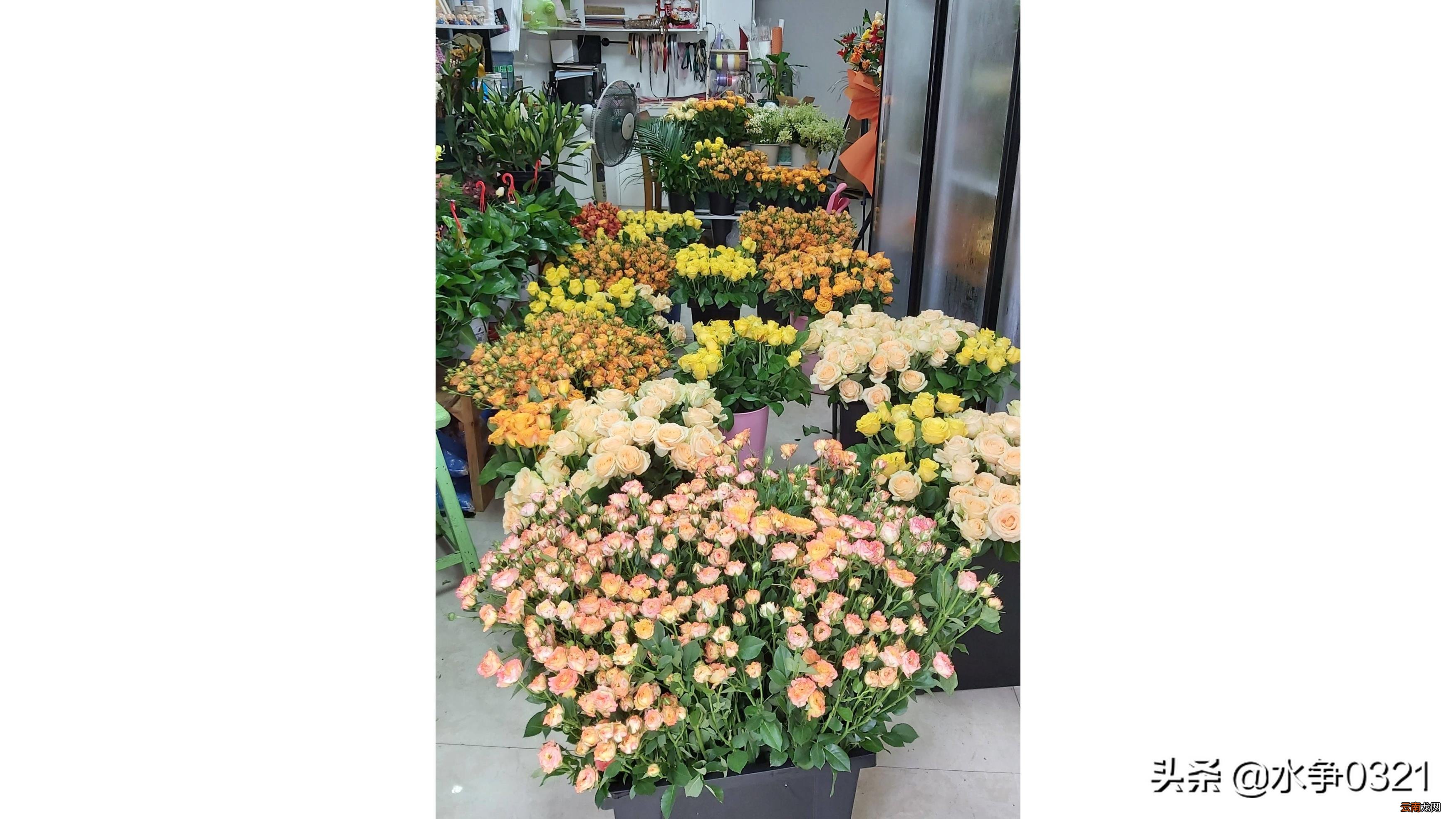 开鲜花店利润如何 鲜花店除了卖花还能卖什么