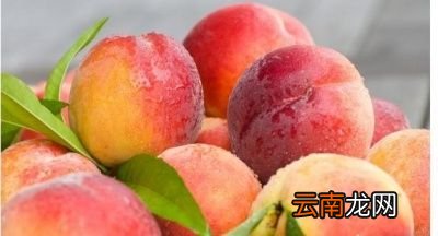 什么人不建议吃桃子