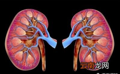 尿色发黄的原因