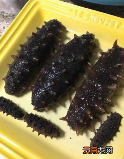 你们觉得海参要怎么做比较好吃又滋补呢