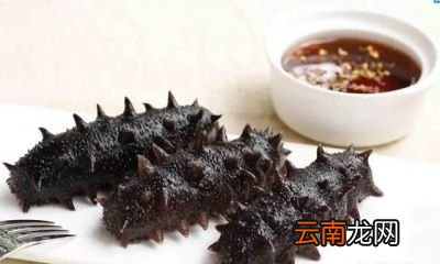 你们觉得海参要怎么做比较好吃又滋补呢