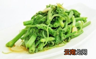 南瓜嫩藤尖叶子有什么营养