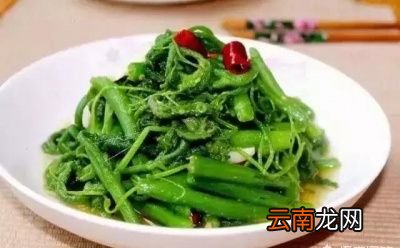南瓜嫩藤有什么营养怎么做比较好吃