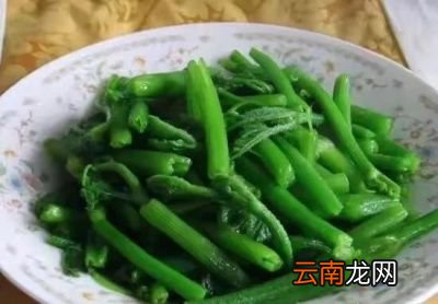 南瓜藤的营养和功效