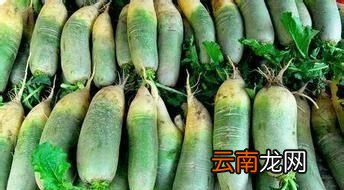 在平时常吃些绿皮萝卜又有什么好处呢