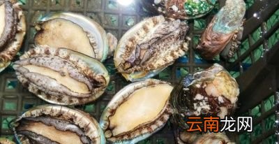 不去内脏还有什么处理方式呢