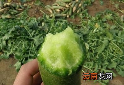 在平时常吃些绿皮萝卜又有什么好处呢