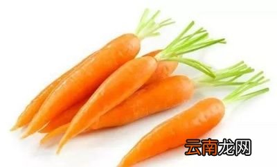 各种萝卜的好处