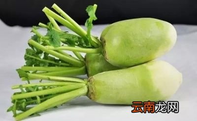 各种萝卜的好处