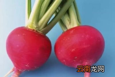 各种萝卜的好处