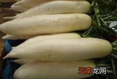 各种萝卜的好处