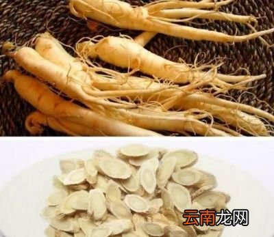 各种萝卜的好处