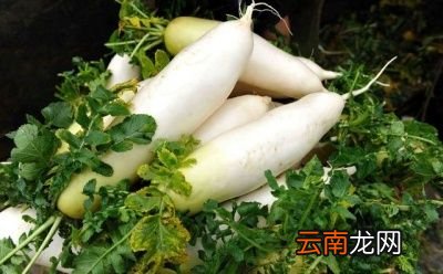 萝卜有什么作用