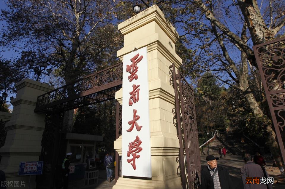 2021年各省市各批次高考分数线 云南大学录取分数线