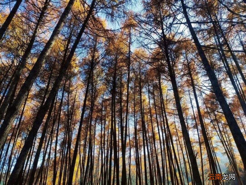 四川旅游线路设计 四川自驾游4天线路推荐