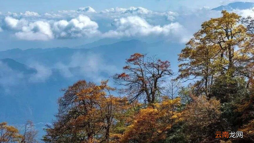 四川旅游线路设计 四川自驾游4天线路推荐