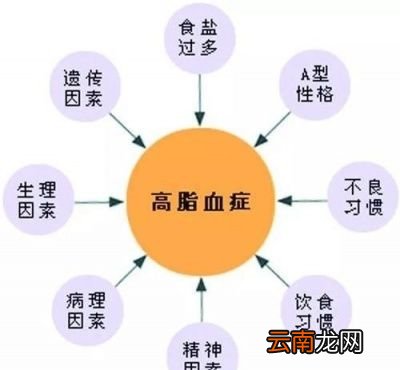 高血脂的人平时需要在哪些方面忌口
