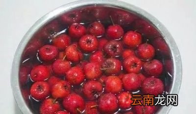 山楂有六大功效