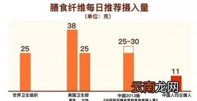 膳食纤维是什么