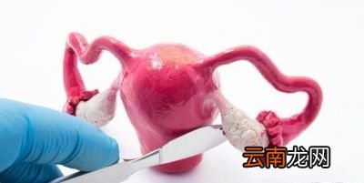 有子宫肌瘤的人可以吃羊肉吗