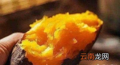 土豆会不会成为主粮